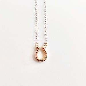 14K yellow gold Horseshoe necklace